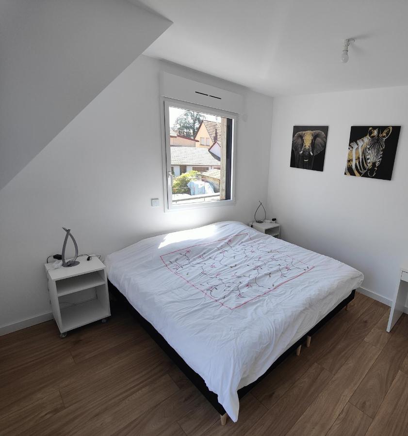Appartement 48M², Strasbourg Centre A 15 Min En Train Fegersheim エクステリア 写真